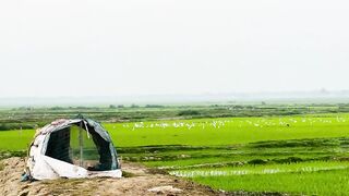Pure Nature Scenery: Peaceful Green Landscapes & Serene Views 🌿⛰️ | Calming Nature