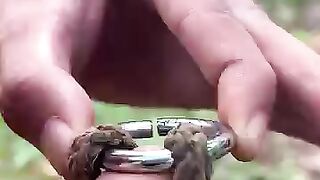 5 Must-Know Rope Knots Everyone Should Learn