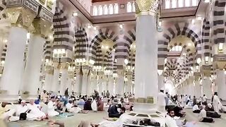 Madinah 13