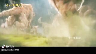 Amazing Monkey Story
