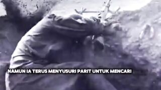 Awal Kisah Sniper Wanita Paling Mematikan dalam Sejarah! 🎯💣