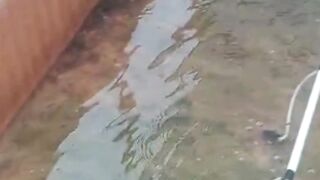 Cara ganti air kolam System konvensional, Kocor, dan Bioflok