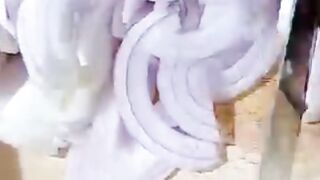 BIRYANI REÇIPE