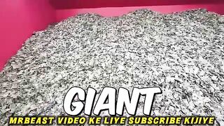 Carry_$1,000,000___Keep_It__😱___MrBeast_Hindi