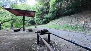 At a rest stop along the hiking trail, there is a black cat whose job is to comfort hikers tired from their walk.