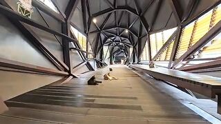 Cats gathering at the station and on the footbridge in the morning, before the tourists are out and about.