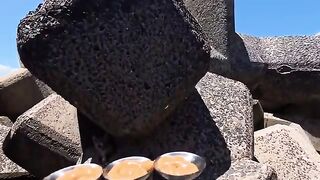I delivered some Churu treats to a family of cats living among the tetrapods.