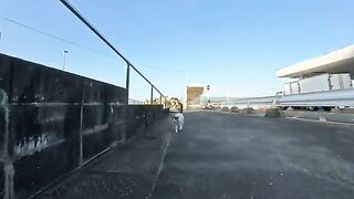 The chatty harbor cat would show up at the dinner venue once it cooled down in the evening.