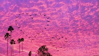 Sunset view 10