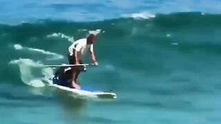 Surfing Dogs