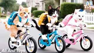 funny cat 2026