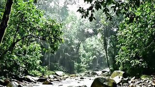 Ranining water jhamma jham