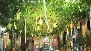 Devotional & Traditional (Best for Temple or Home Mandir posts)