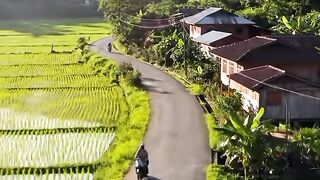 PEACEFUL & BEAUTIFUL! Indonesian Village with Green Rice Fields 🌿✨ Bali’s Hidden Paradise