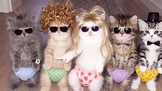 Cute catty group dance