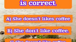 English Grammar Challenge: Which Sentence is Correct?