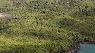 Rangitoto Island