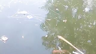 Fish pond 3
