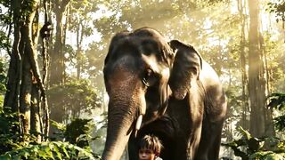 Boy and elephant