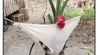 percayalah mereka melakukan ini setiap hari