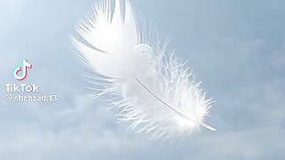 Nice Song 16