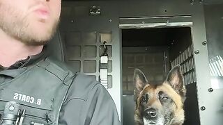 #copsoftiktok #k9softiktok #fyp #foryou #k9unit #copsoftiktok  #fyp #k9softiktok #k9rex #copso (2)