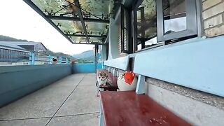 The cat stationmaster was taking a leisurely break on the bench outside.