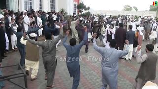 Wedding Dhol Shehnai Dance