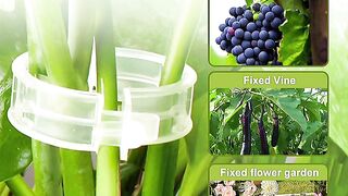 Plants clips