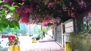 nice flower 30/07
