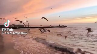 Beautiful View Sunset