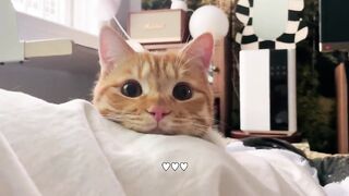 cuteeeee