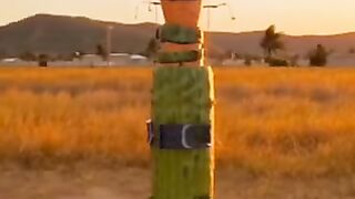 carrot Supersonic hypersonic missile