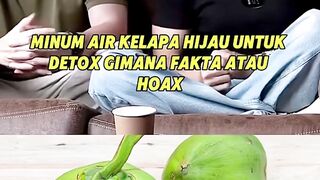 Fakta dan Hoax soal Kelapa Hijau.   #kelapahijau #risyadandson #kelapamerahmuda