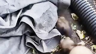 Camada de hurones bebés en adopción en Málaga