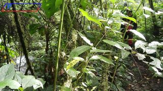 The Natural Hiking Trail of Mount Patah
