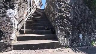 I met a cat on a flight of stairs while taking a walk on the island; when I petted it, it happily snuggled up to me.
