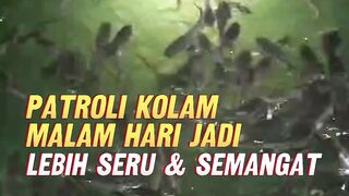 Patroli kolam malam hari itu WAJIB
