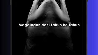 Megalodon dari Tahun ke Tahun 🦈🔥 #megalodon  #radex  #ocean