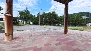 While I was resting in the gazebo at the harbor, an orange tabby cat trotted over to say hello.