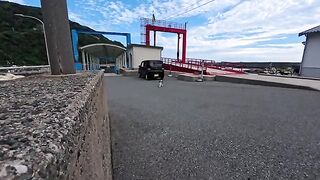 While I was waiting for the return ferry at the boat terminal, a cat came to say goodbye.