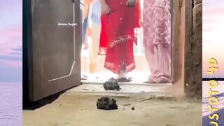 Tradisi Pernikahan Paling Gila versi PLUSTOTO4D