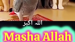 #mashallah #subhanallah #animals #birds #pray #viral #shorts