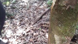 We Found Bear Tracks in the Trees