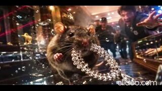The mouse flew away with jewelry adorned with precious diamonds!