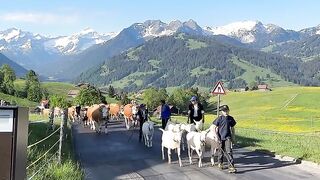 Village life 51