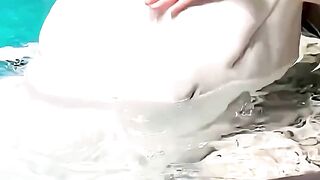 Did You Know These Tricks of The Beluga Whale?