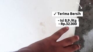 Panen Rutin 3 kW per Minggu