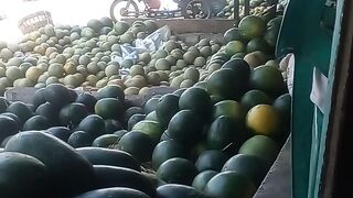 Semangka brazil #buahsemangka #semangka