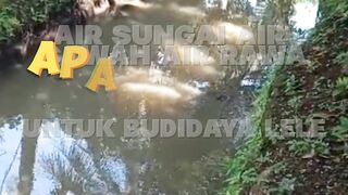 Apakah air SUNGAI rawa sawah bisa untuk budidaya